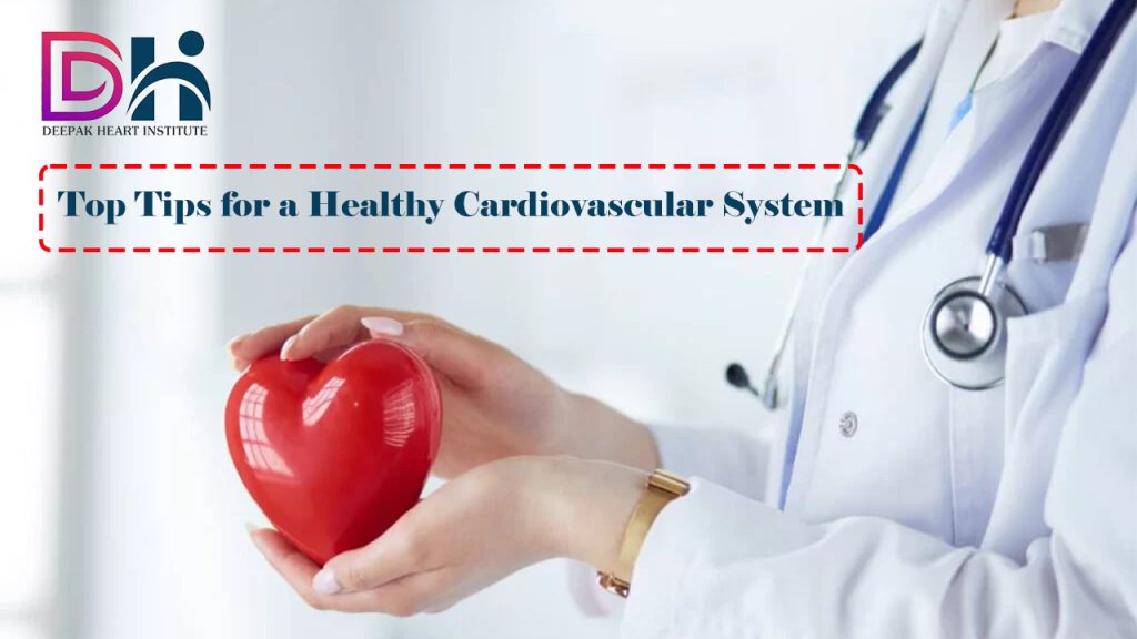 Top Tips for a Healthy Cardiovascular System